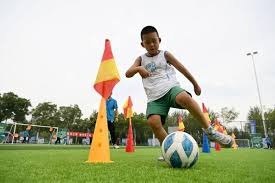 巴媒：巴西足协再次联系安帅，后者愿考虑但需等皇马世俱杯后