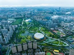 百家乐新手为什么会判断混乱（百家乐初学者为何常陷入判断混乱）